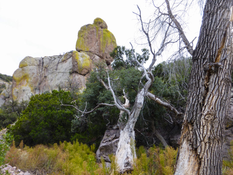 Major Threat to Guadalupe Canyon