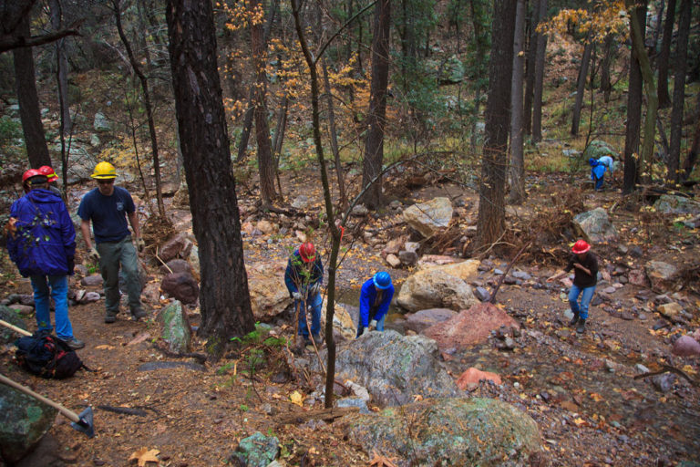 Chiricahua Trail System Renovation