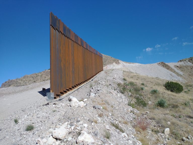 Removing invasives at Guadalupe Canyon