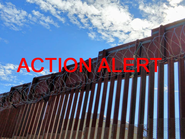 ACTION ALERT: Tell CBP to prioritize wildlife over the border wall