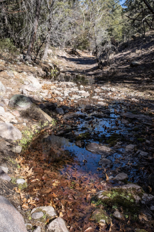 Opportunity to Object on the Chiricahua Public Access Project