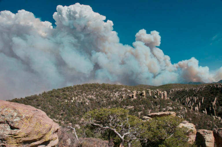 Horseshoe 2 Fire, Remembered