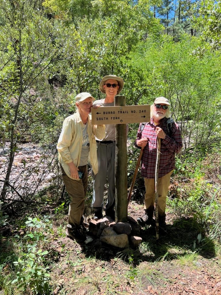 New signs in the forest