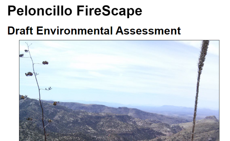 Peloncillo Firescape Comments Due Fri., March 15