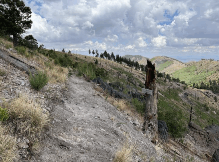 April – September 2025 Conservation work