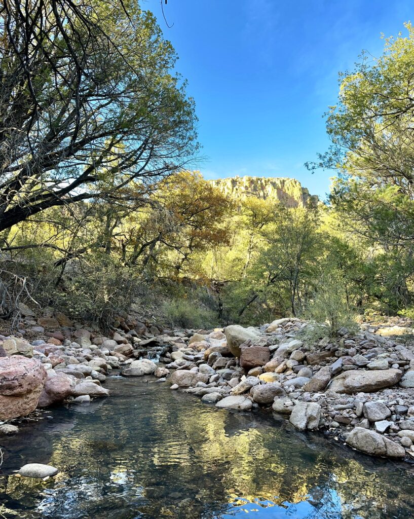 The petitioned Izęę’ Bich’ilwozh (Medicine Canyon) Zoological-Botanical Area. Photo credit: Russ McSpadden, Center for Biological Diversity.